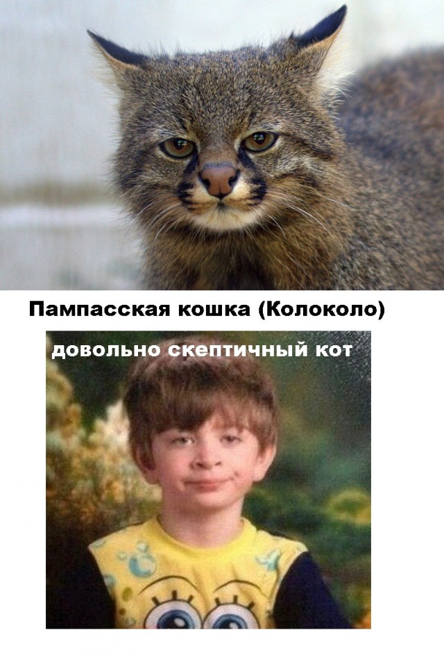 Так себе картинки 11.09.21