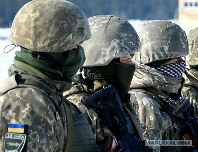 Жириновский призвал бомбить Украину в новогоднюю ночь