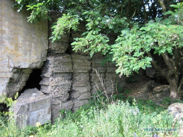 Форты Бреста