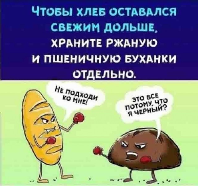 Баянисто-небаянистый юмор 31.01.22