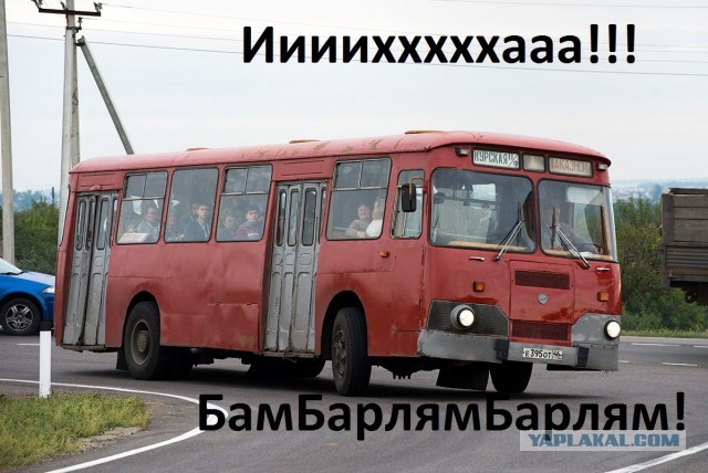 Автобус, который мог заменить аэропорт