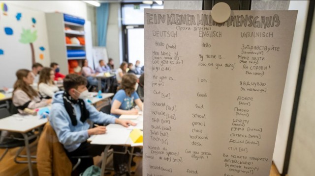 Украинские беженцы становятся проблемой для всей Европы