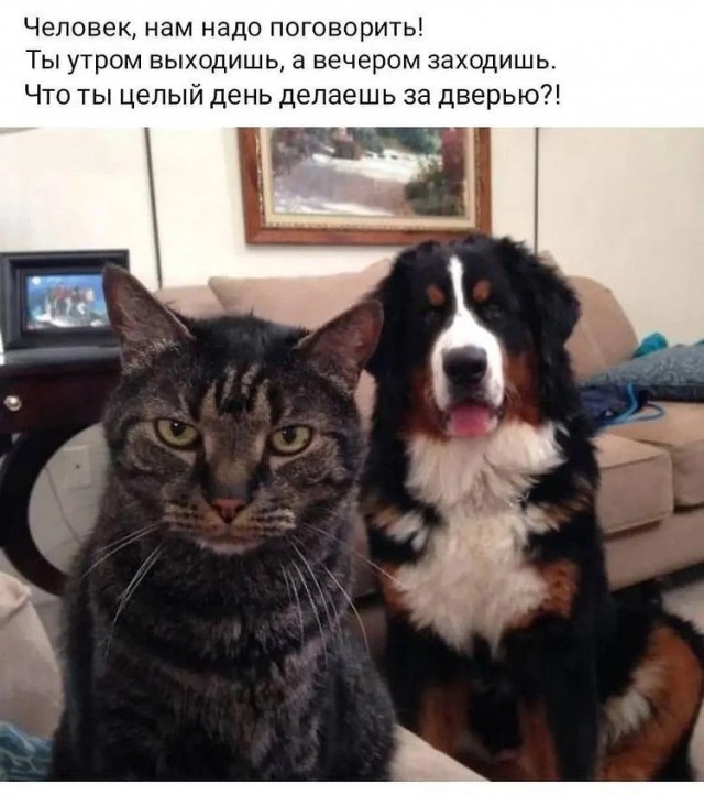 Немного картинок и прочей хреноты Vol. 9