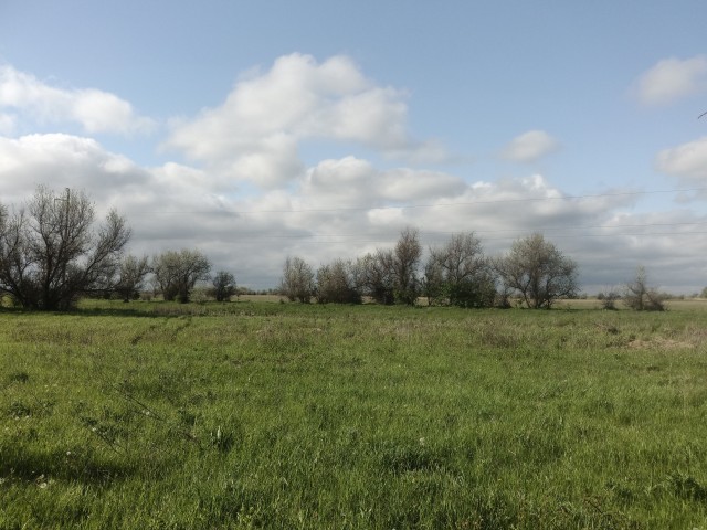 Доброе утро, ЯПъ