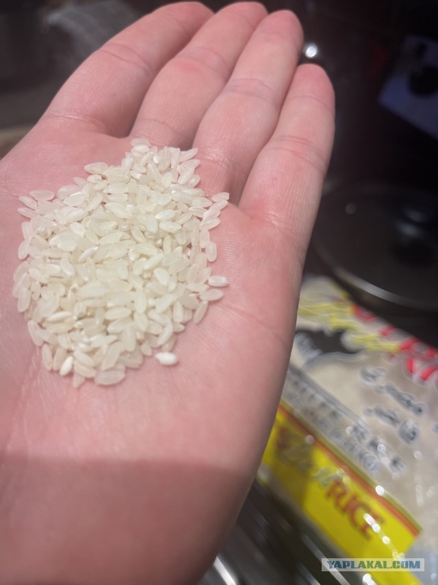 Пятничный плов.