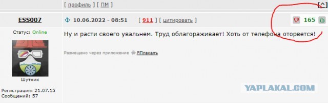 Родителям школьников предоставили выбор — детский труд или сдать деньги классному руководителю