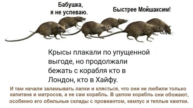 Андрей Малахов - ВСЕ?