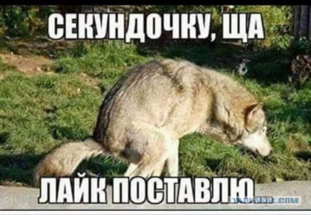 Оценил баварца