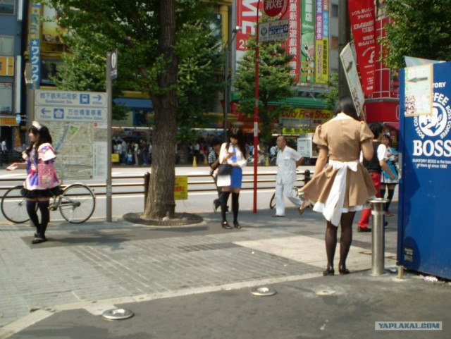 Далёкая Япония