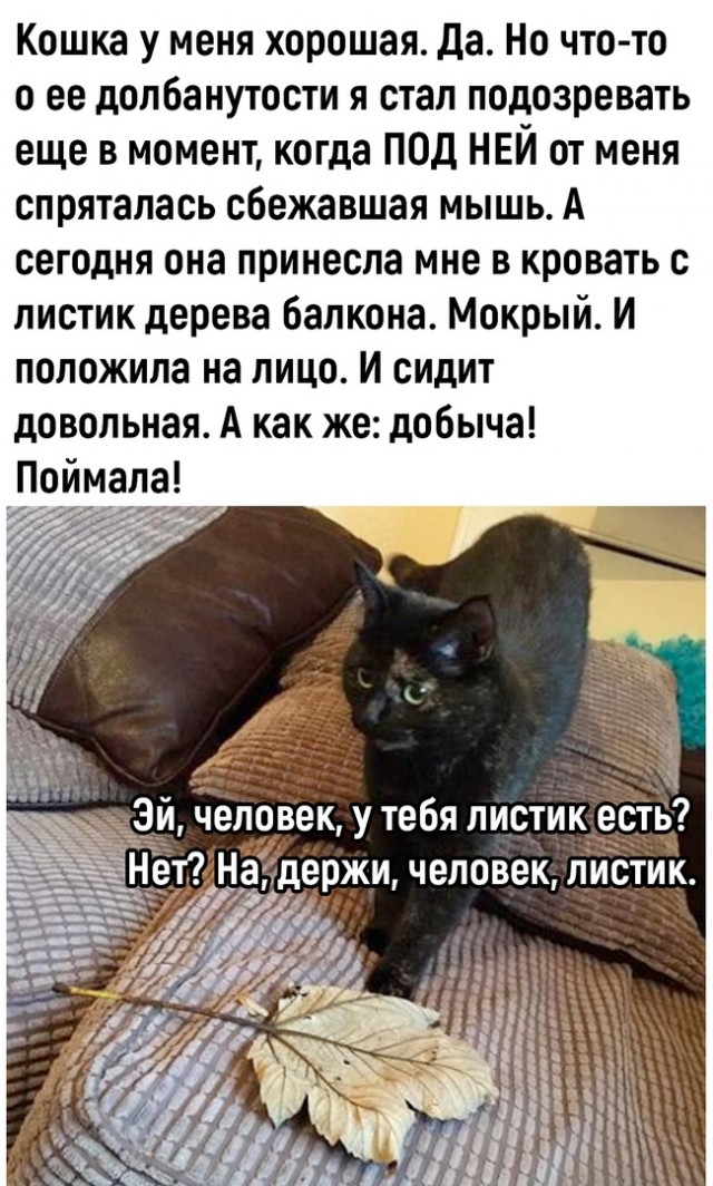 Так себе картинки 13.10.22