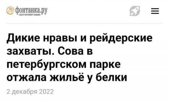 Немного картинок для настроения - 127
