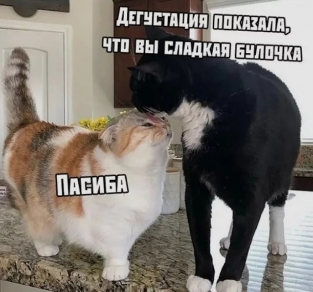Немного картинок для настроения - 131