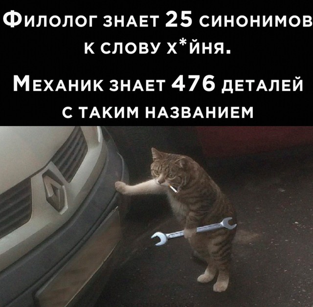 Нуштош 11.03.23