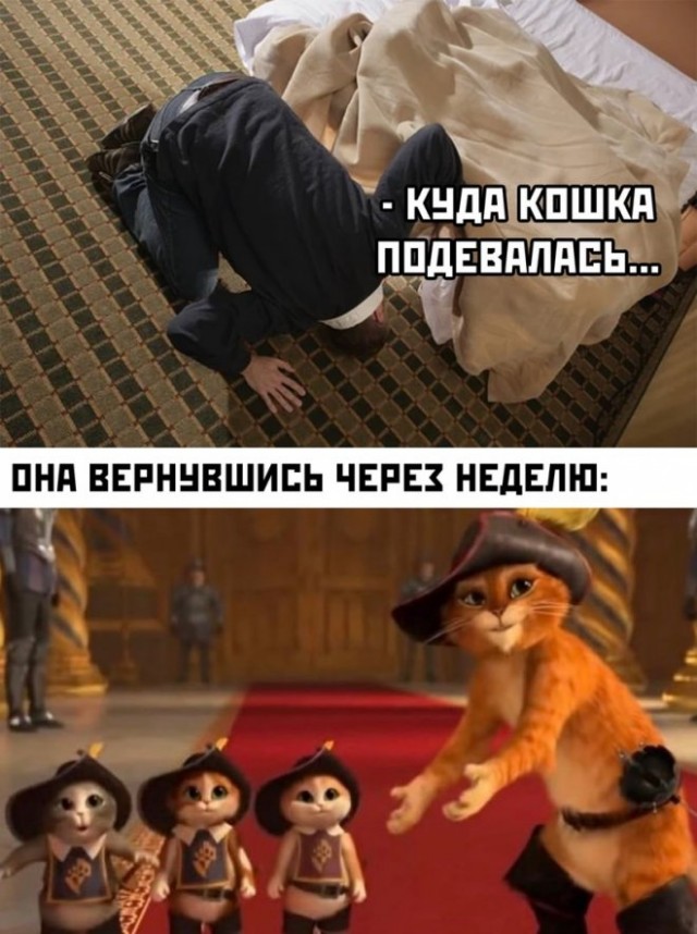 Картинки и мемы, это май-чародей всяко разно - 177