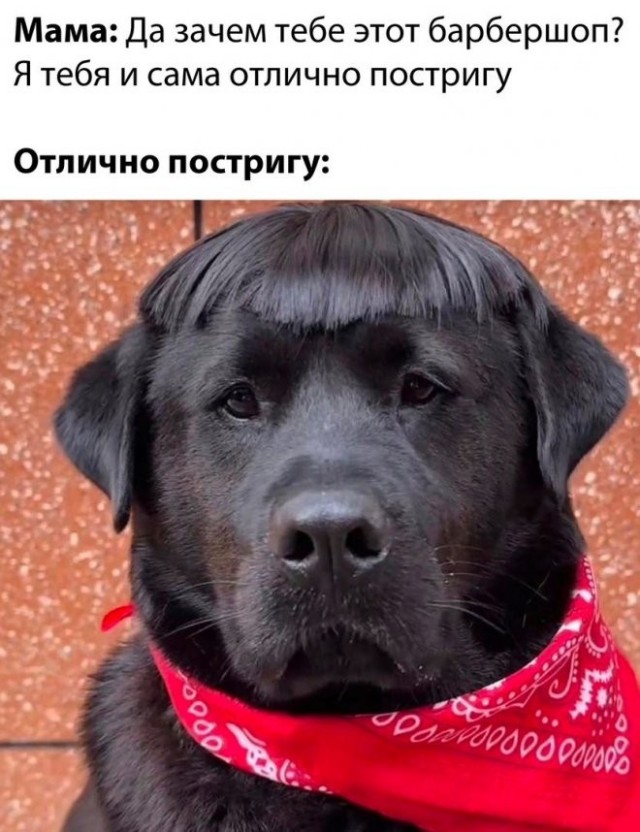 Нуштош 20.06.2023