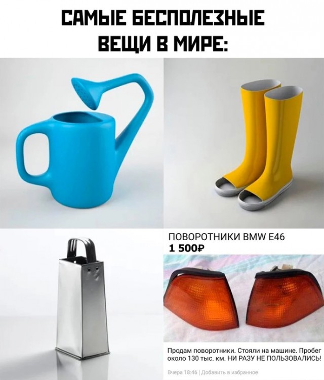 Весёлый полтишок 21.08.23