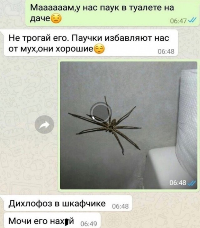 Всего понемногу. От 24.08.2023