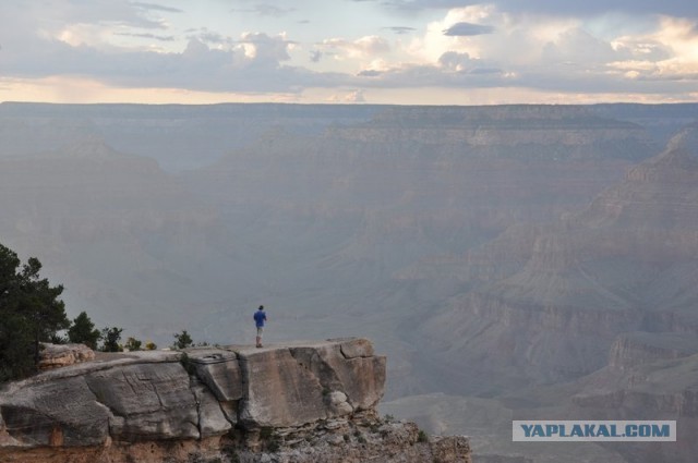 Ford Mustang напрокат