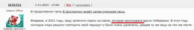 Самую одинокую овцу в Шотландии спасли.