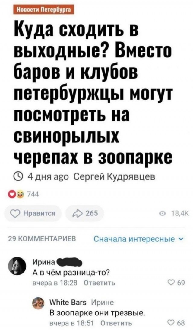 Так себе картинки 31.12.23