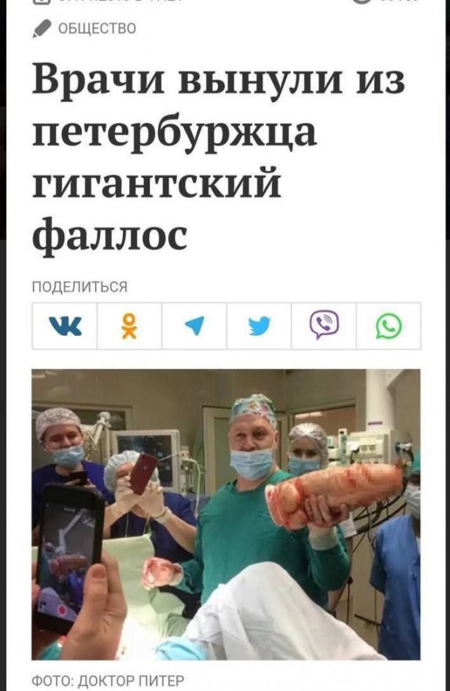 «Стринги были не ее»: в Новосибирске лабрадор раскрыл измену, съев трусы любовницы хозяина