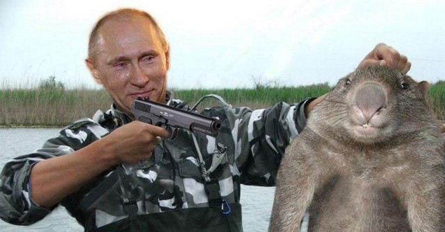 Не рой другому яму