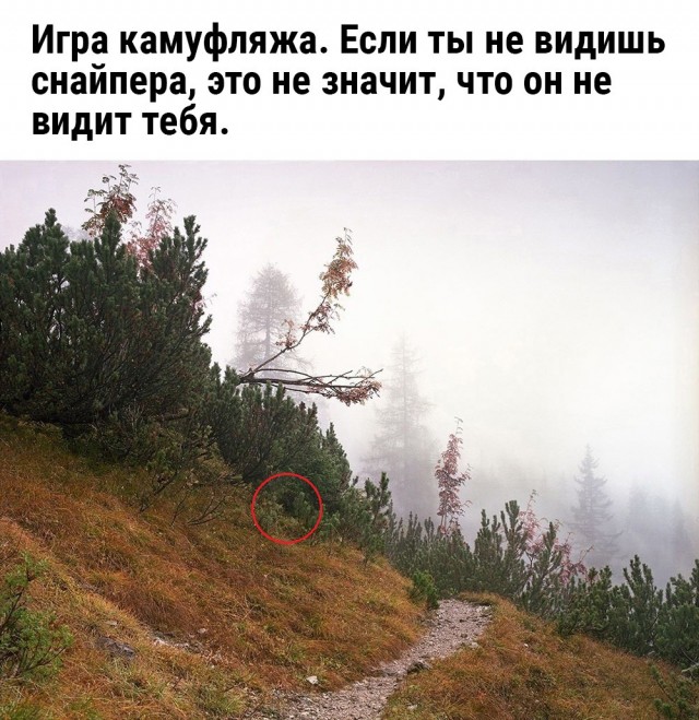 Так себе картинки 15.05.24