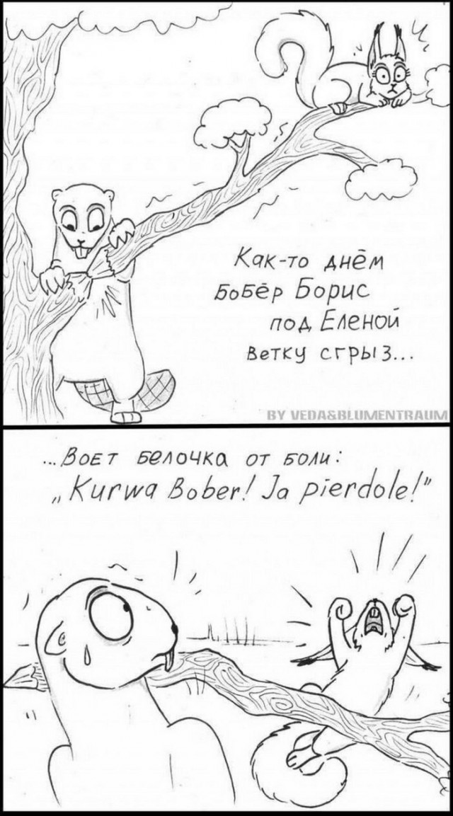 Так себе картинки 23.05.24