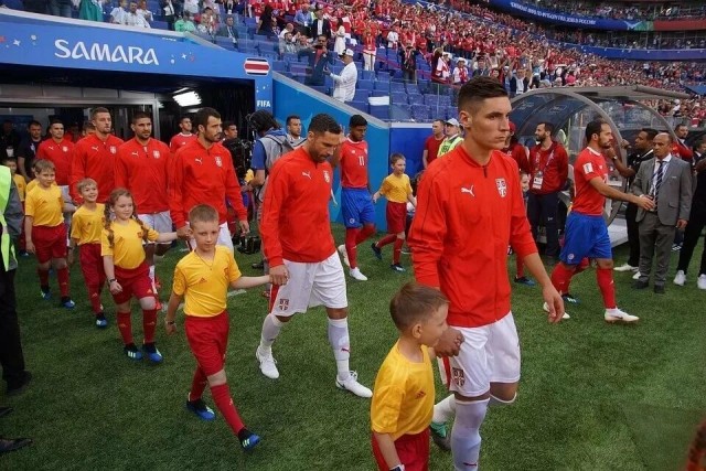 Футболисты волгоградского "Ротора" вышли на поле с 11 бездомными щенками, ищущих себе новую семью