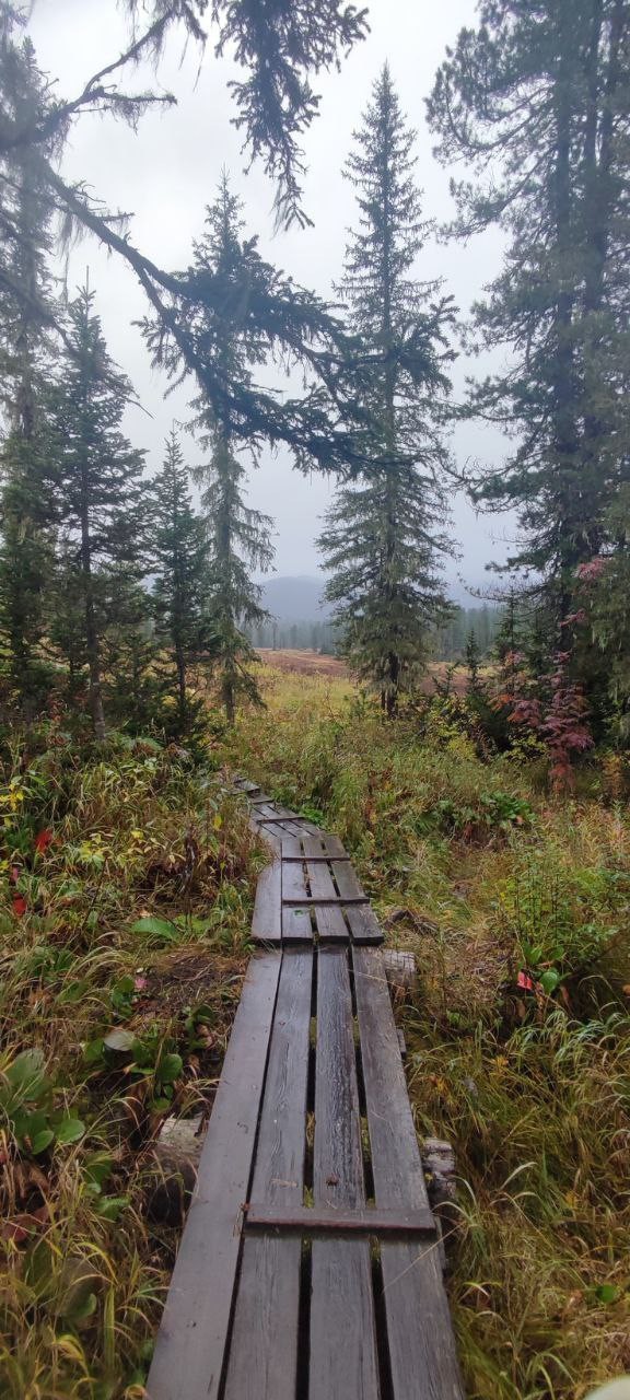 А какая осень у вас?