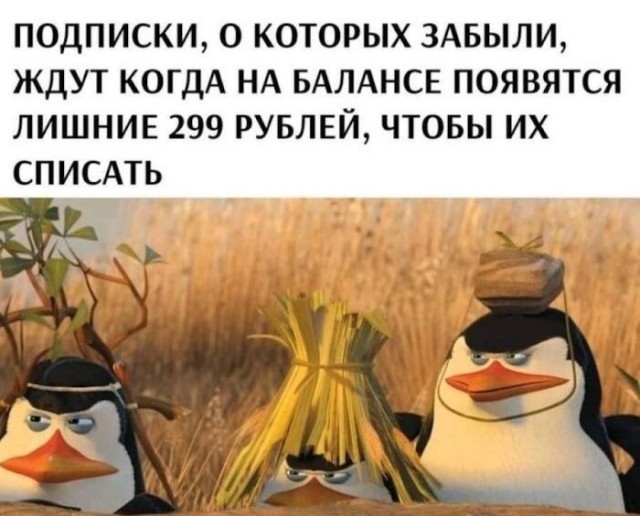 Веселые картинки к понедельнику (14.10)