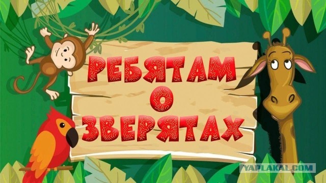 Где-то я уже это видел...
