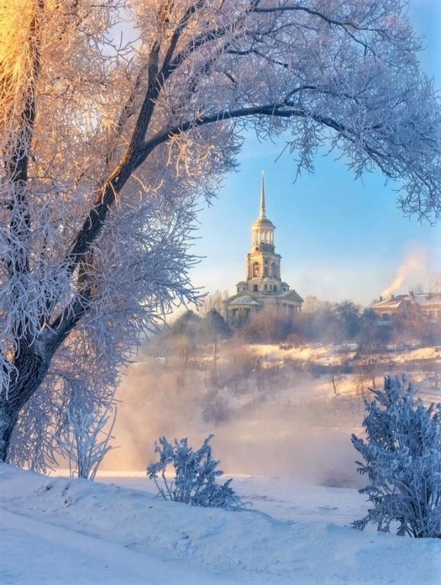 Прикольные и просто красивые картинки 10.12.2024