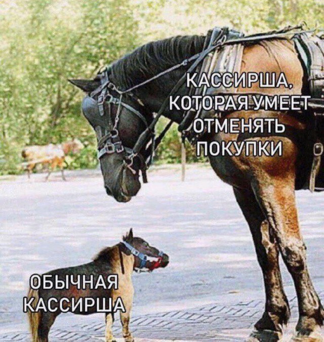 Весёлый полтишок 16.04 25.