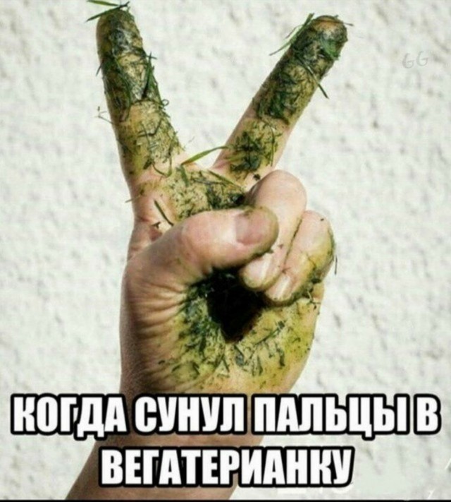 Просто 10 картинок, коллеги.