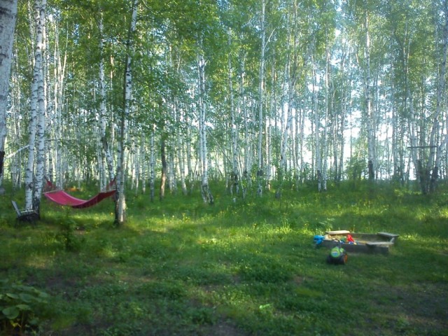 Деревенская Америка