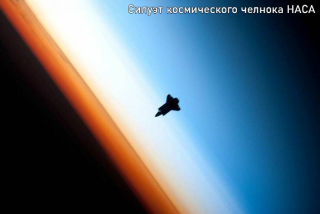 Белый слон и другие картинки