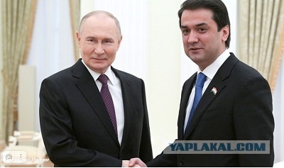 Президент России Владимир Путин встретился с председателем верхней палаты парламента Таджикистана, председателем города Душанб