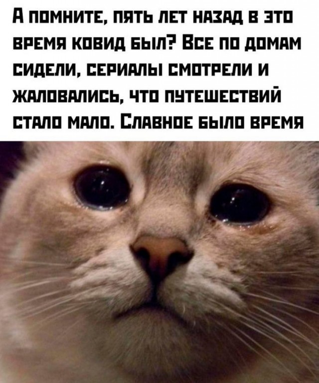 Пятничные тРРРидцать тРРРи!