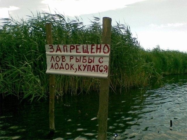 Картинки для деградации 18 (разной степени свежести)
