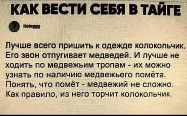 Веселые картинки в маленькую пятницу (20.08)