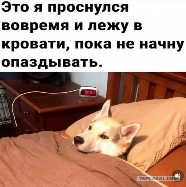 Быстрая деградация