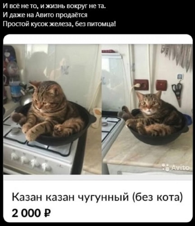 Так себе картинки 14.10.25