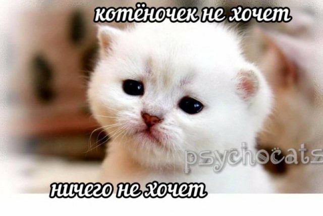 Дегрономикон депрессивный