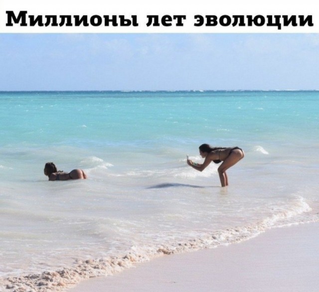 Картинки для деградации 100 (разной степени свежести)