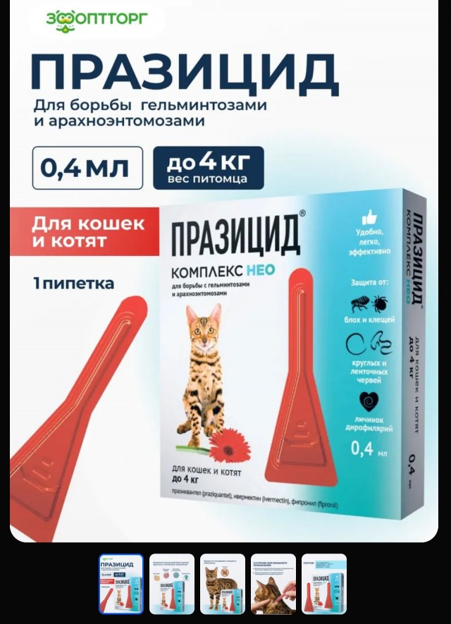Маленькая кошатинка-полосатинка прямиком из мусорки
