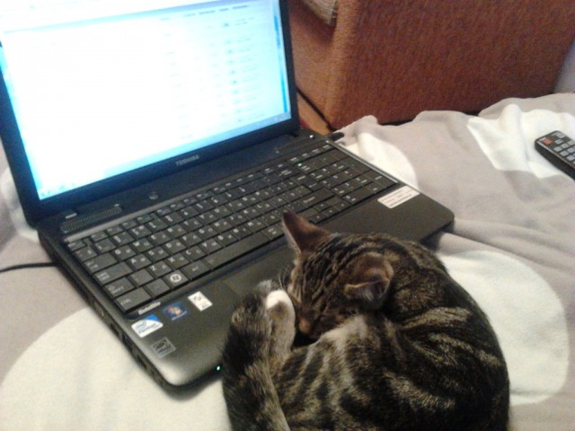 Уделите нам внимание