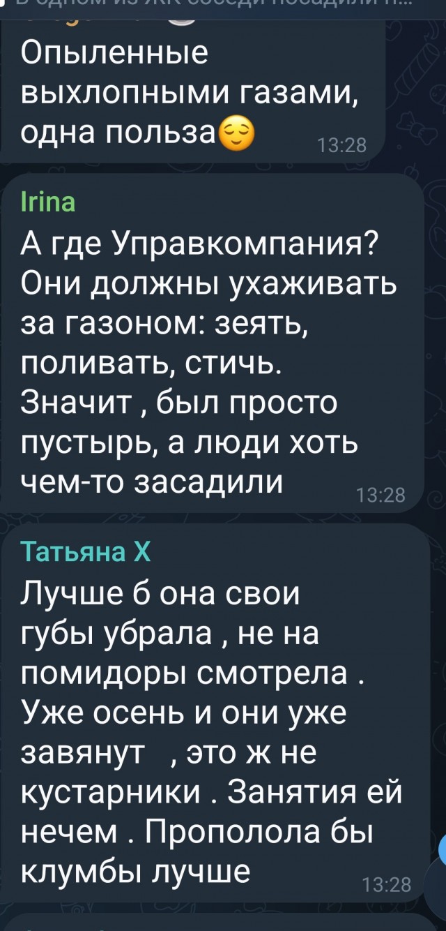 В одном из ЖК соседи посадили помидоры на клумбе