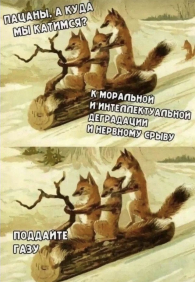 Глава Россотрудничества прокомментировал призывы людей, обслуживающих интересы иностранных государств, закрывать Русские дома