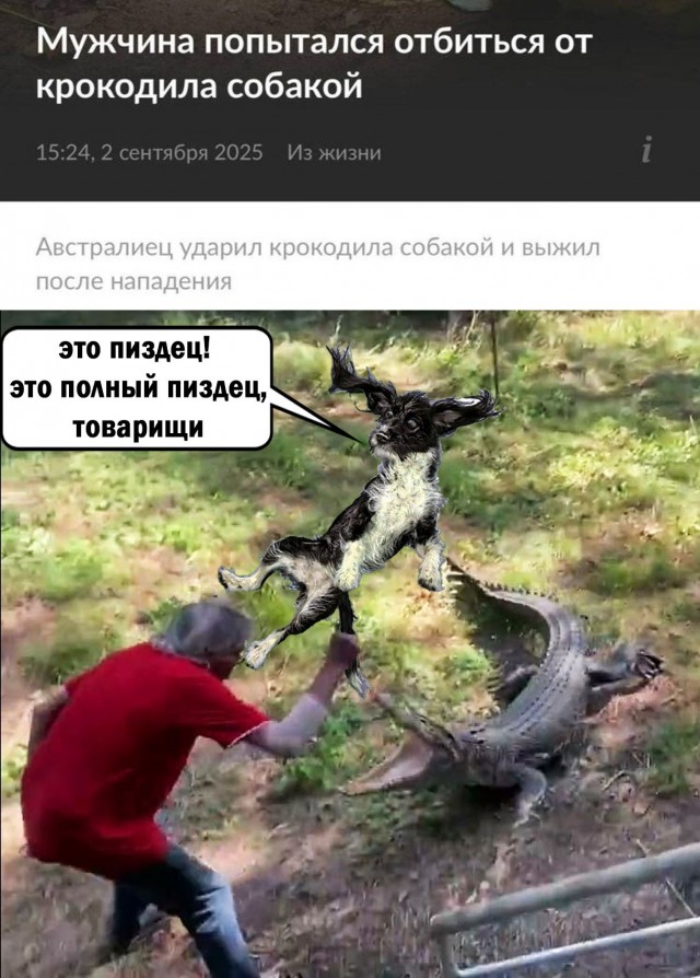 Киберзапугивание на венгерском языке и другие картинки
